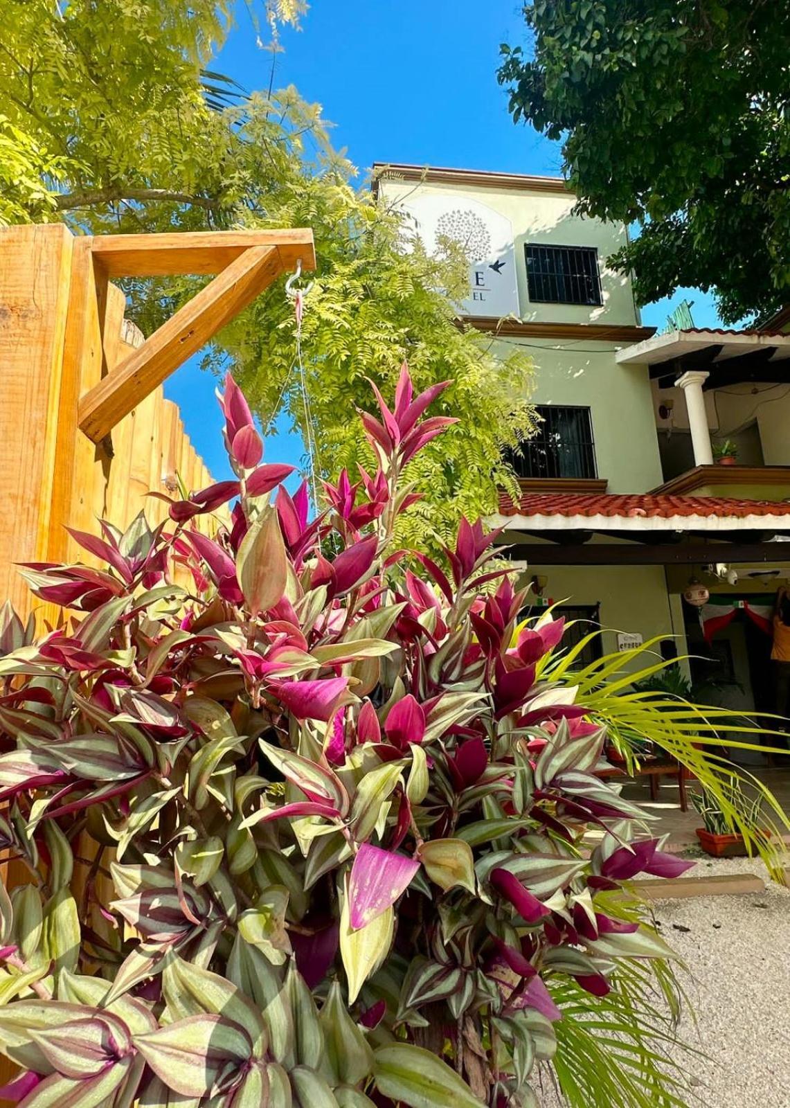 El Roble Hotel Bacalar Exterior photo